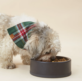 Holly Jolly plaid flannel bandana
