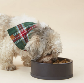 Holly Jolly Plaid Flannel Bandana