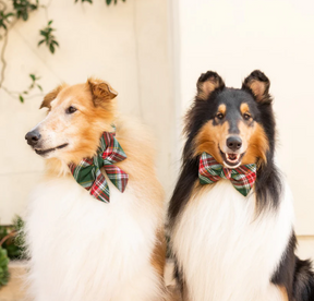 Holly Jolly Bow