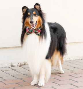 Holly Jolly Bow
