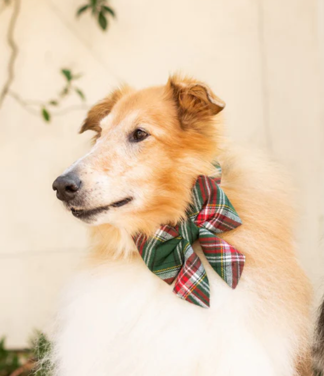 Holly Jolly Lady Bow