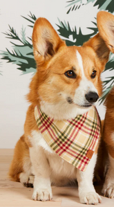 Eggnog plaid flannel bandana