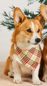 Bandana de flanelle à carreaux d'oeuf