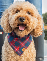 Christmas Plaid Flannel Bandana