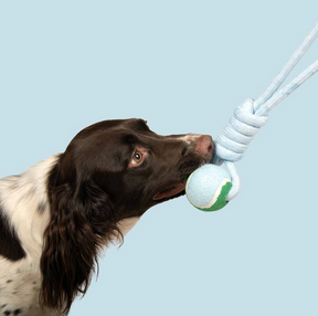 Catch Me Rope