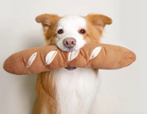 Life of a Baguette Toy
