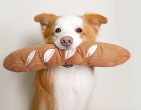 Life of a Baguette Toy