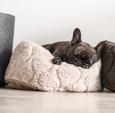 Snuggle dog bed