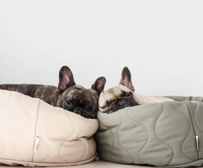 Snuggle dog bed