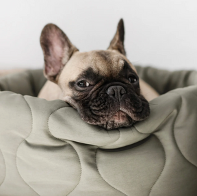 Snuggle dog bed