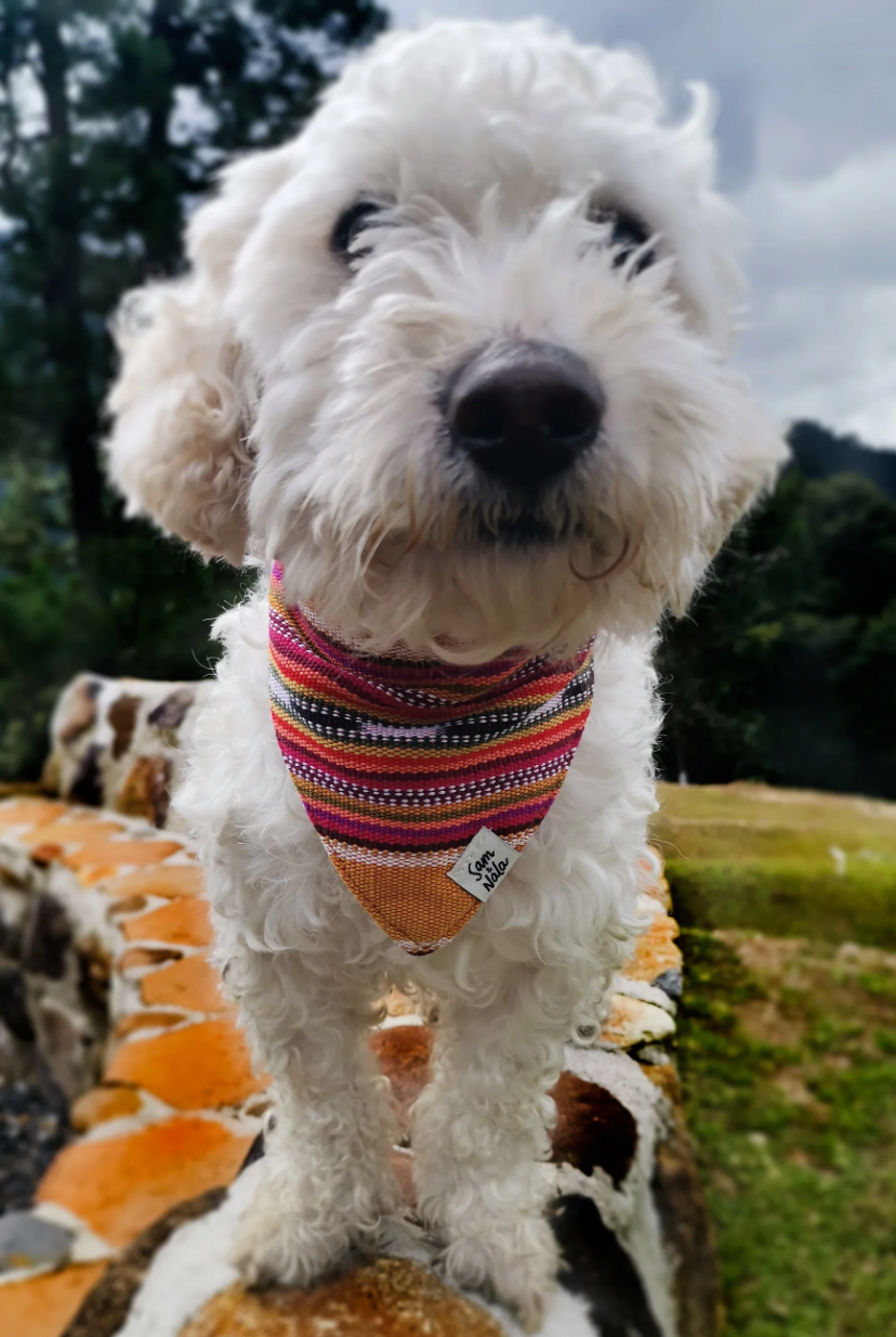 Bandana Mango
