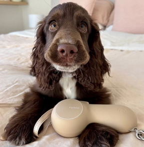 Luxury Leash Classic 2.0 - zonder verwarming