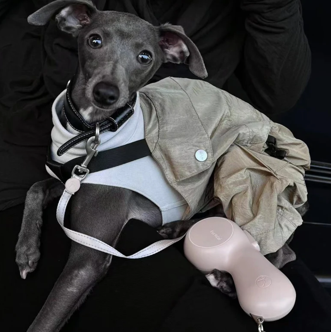 Luxury Leash met verwarming / lader Beige 2.0