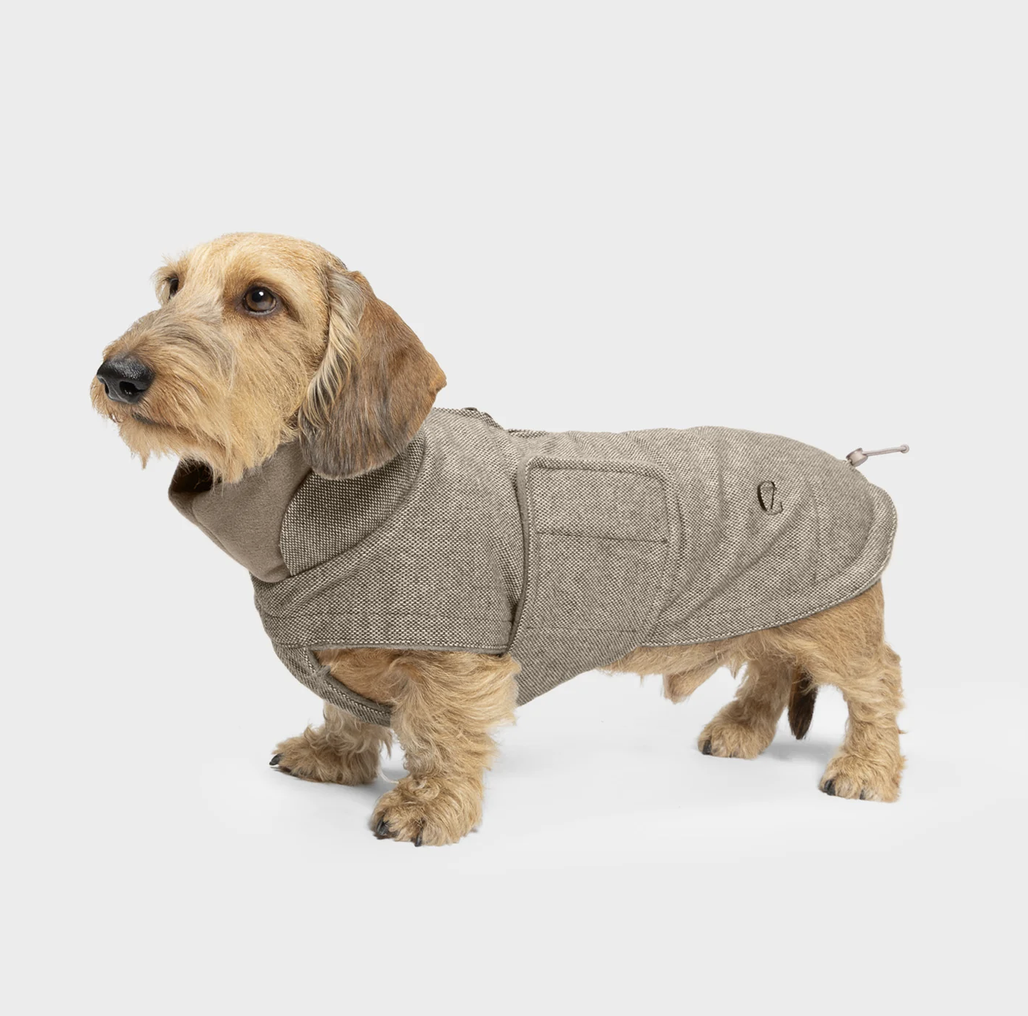 Brooklyn Tweed beige - Dachshund Edition