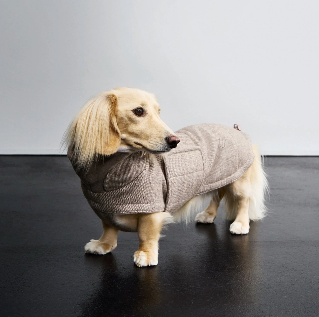 Brooklyn Tweed beige - Dachshund Edition