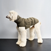 Alaska Olive - Greyhound Edition