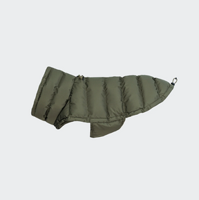 Olive d'Alaska - Édition Bulldog