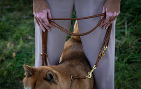 Leather leash 2m Cognac