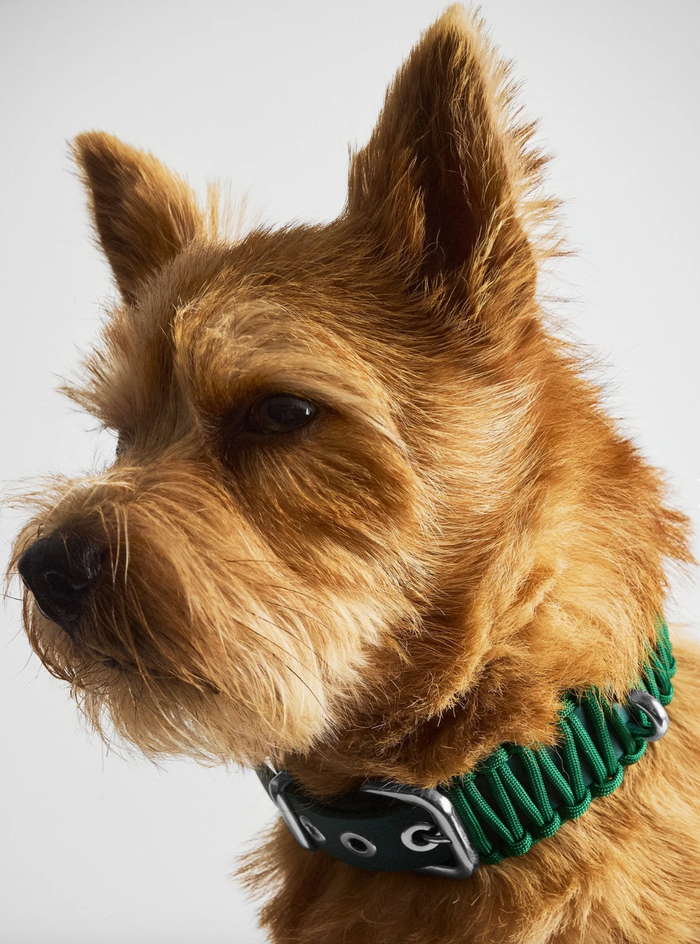 Riviera Collection - Positano