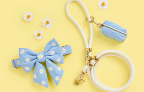 Daisy Blue Lady strik