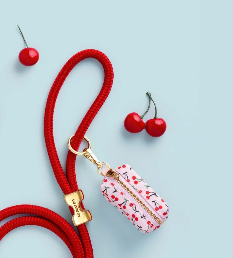 Cherry up Lady arc