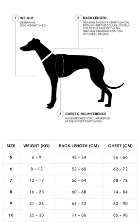 Alaska Olive - Greyhound Edition