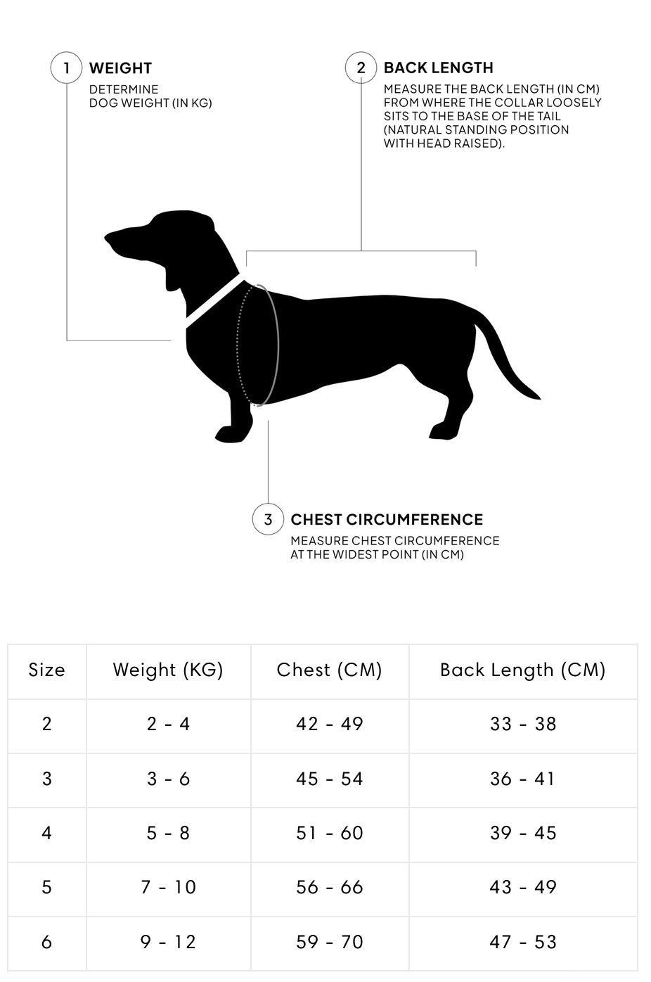 Brooklyn Flannel Tartan Green - Dachshund Edition