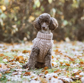 Knit Sweater Taupe