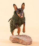 Knit Sweater Green