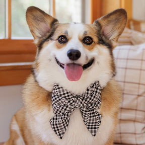 Heather Taylor Home X TFD Soho Black Lady Dog Bow