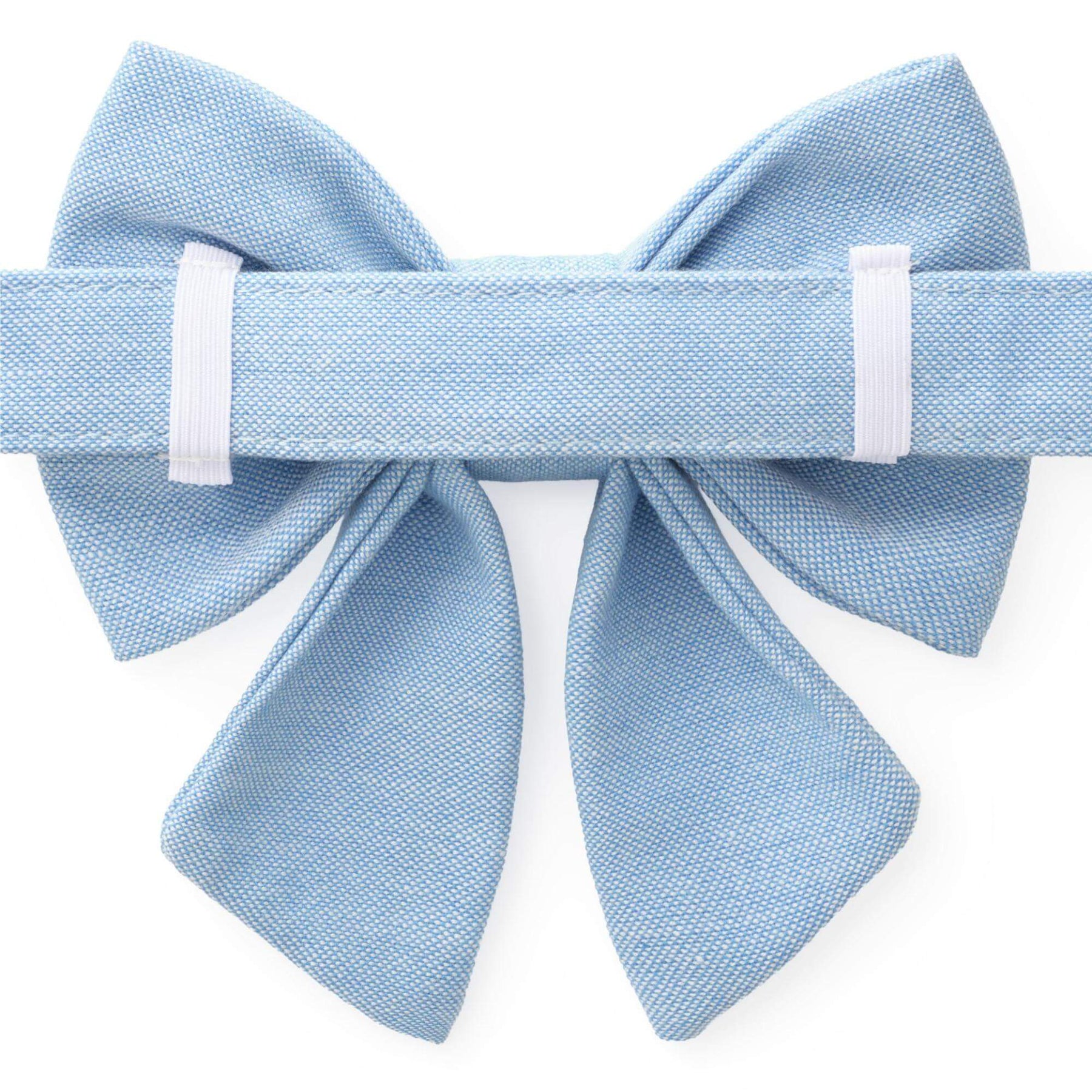 Daisy Blue Lady strik