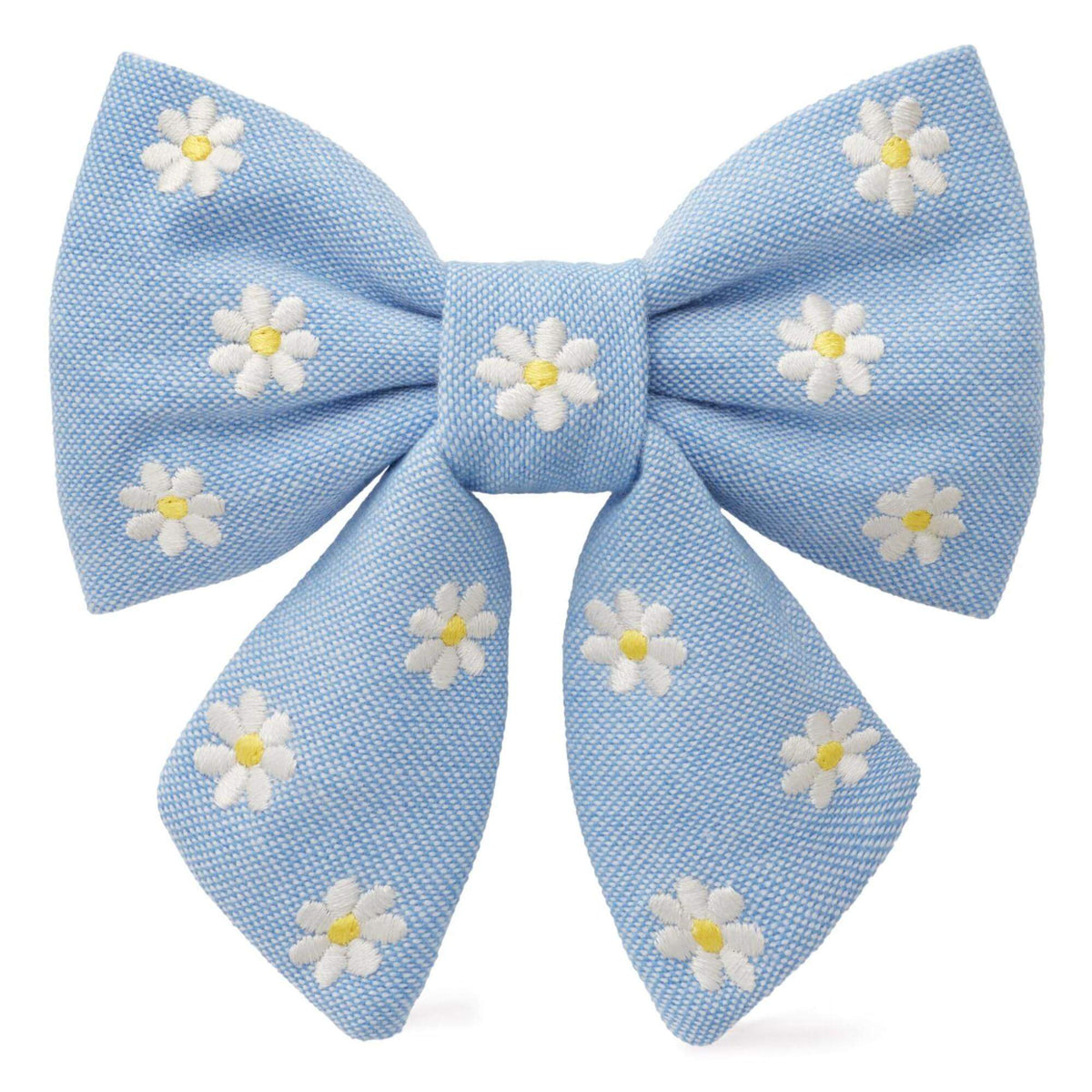 Daisy Blue Lady strik