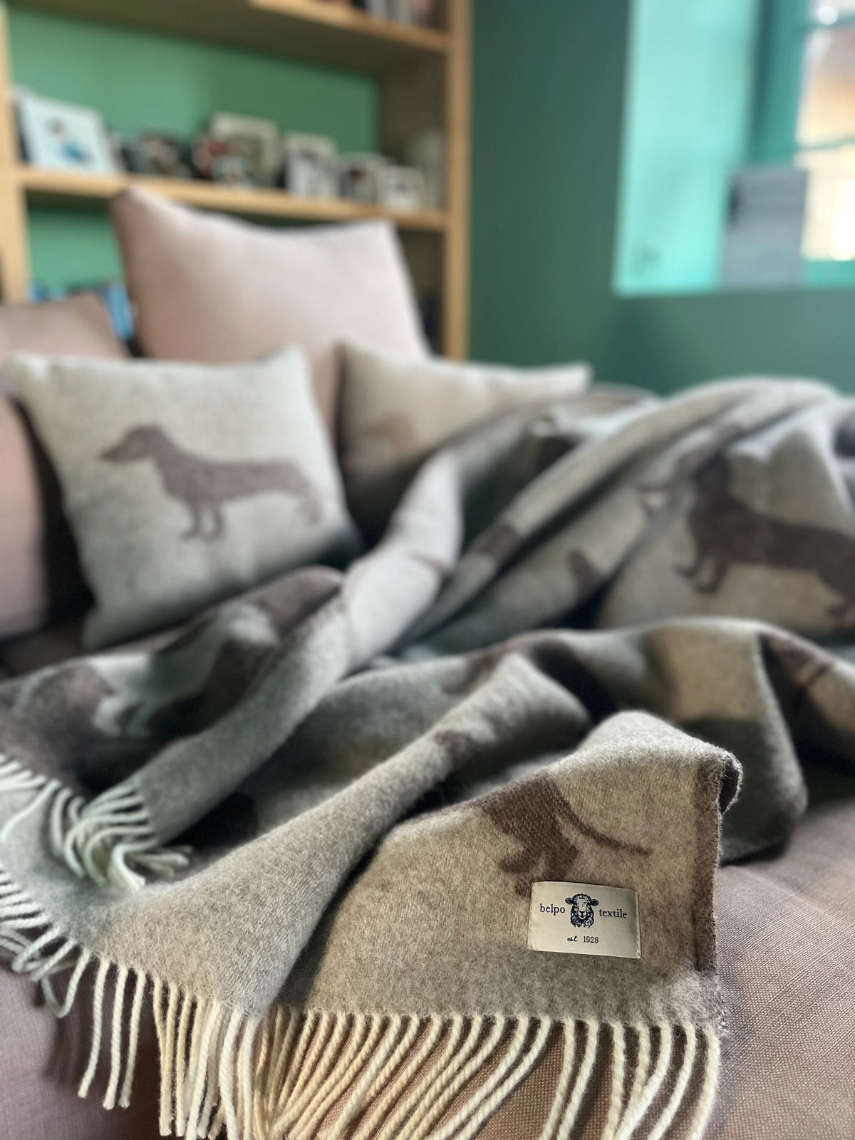 Snuggle Teckel Plaid Brown