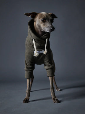 Fontana Groen-Whippet
