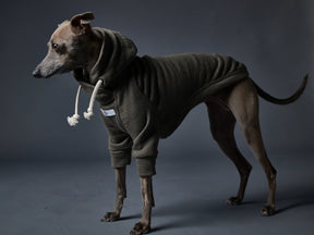 Fontana Groen-Whippet