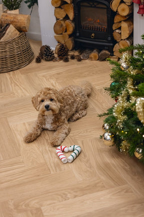 Christmas candy