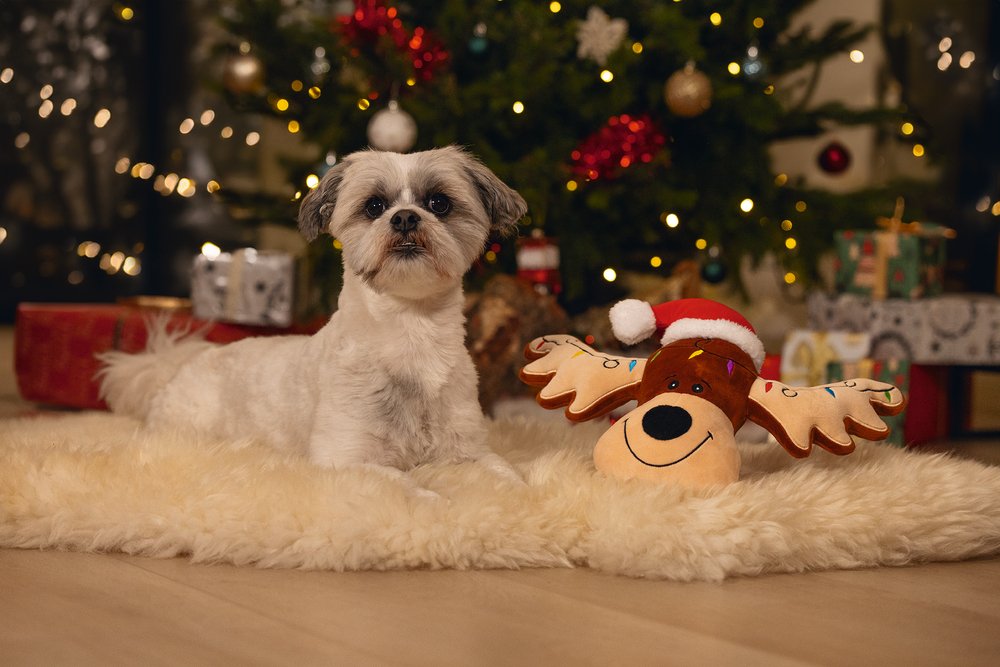 Christmas Lights Rudolf