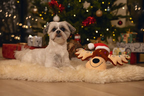 Christmas Lights Rudolf