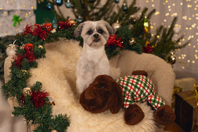 Christmas Woof