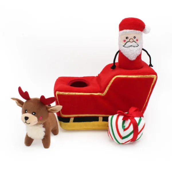Christmas sled with Santa Claus