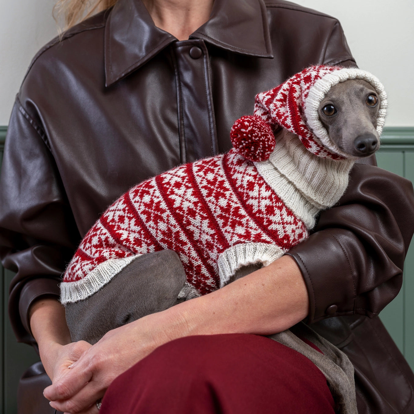 Christmas snowflake dog hat