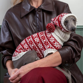 Christmas snowflake dog hat