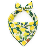 Lemon up bandana