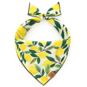Lemon up bandana