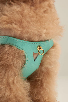 Turquoise harnas