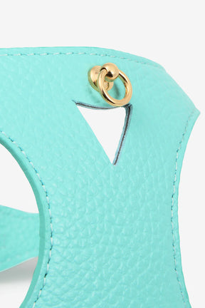 Turquoise harnas