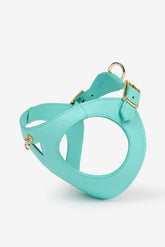 Turquoise harnas