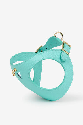 Turquoise harnas