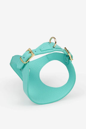 Turquoise harnas