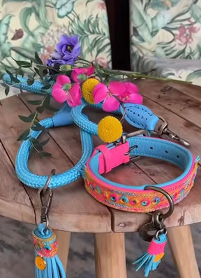 Turquoise Blue New Edition
